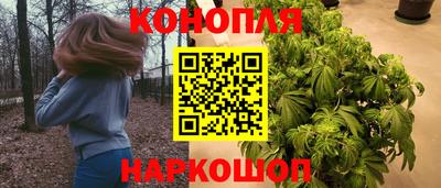 стаф Будённовск