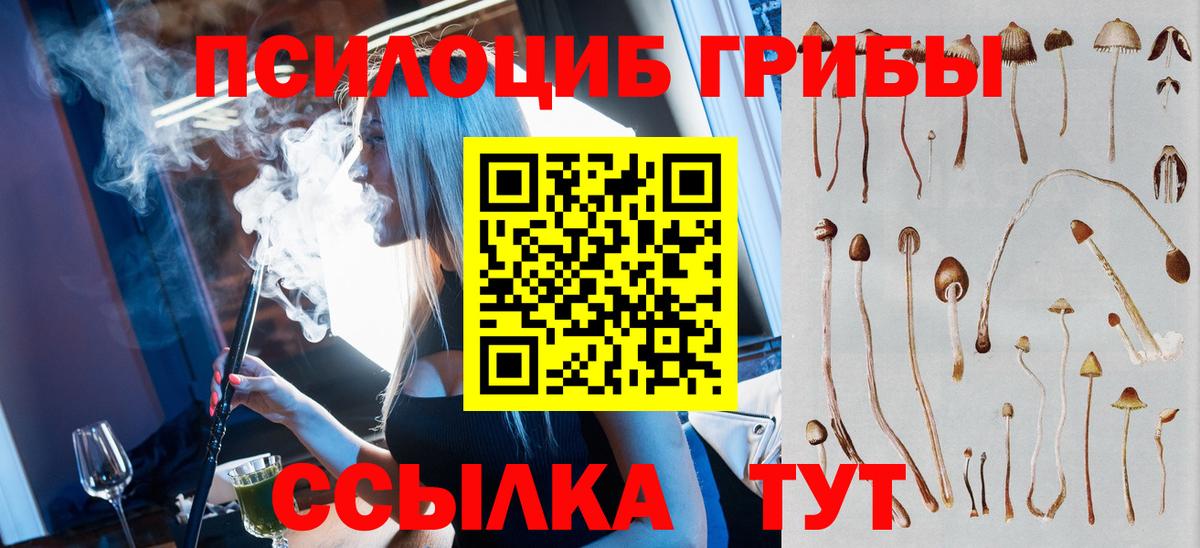 Ликино-Дулёво  Псилоцибиновые грибы мицелий  Вход с VPN 