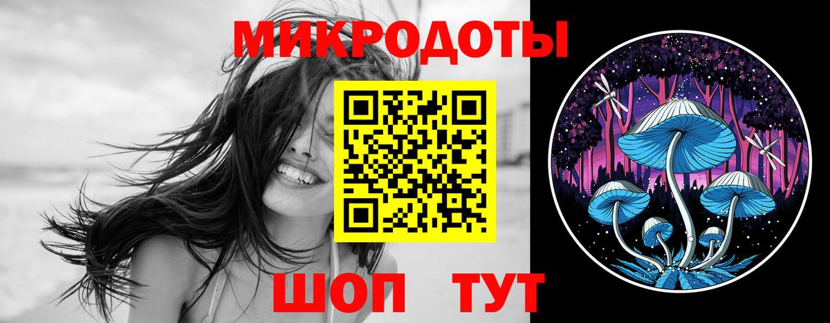 Псилоцибиновые грибы Psilocybine cubensis Ликино-Дулёво